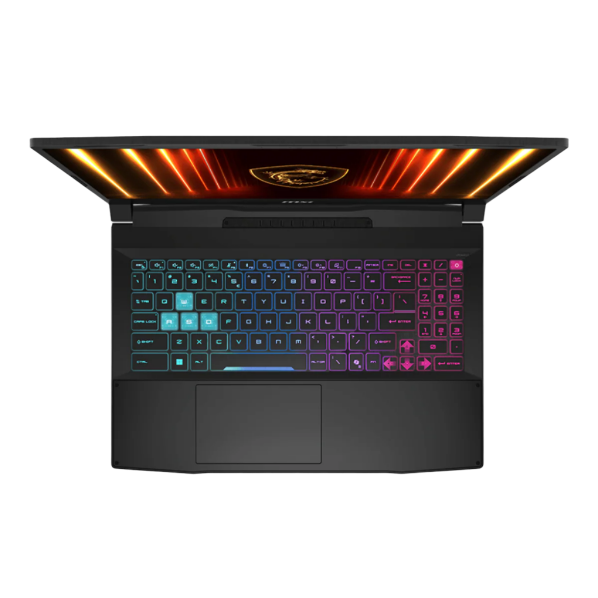 MSI KATANA 15 HX B14WGK-251PH I7-14650HX/8GB+8GB/1TB NVME/5070 8GB/15.6 165HZ/W11H (BLK)