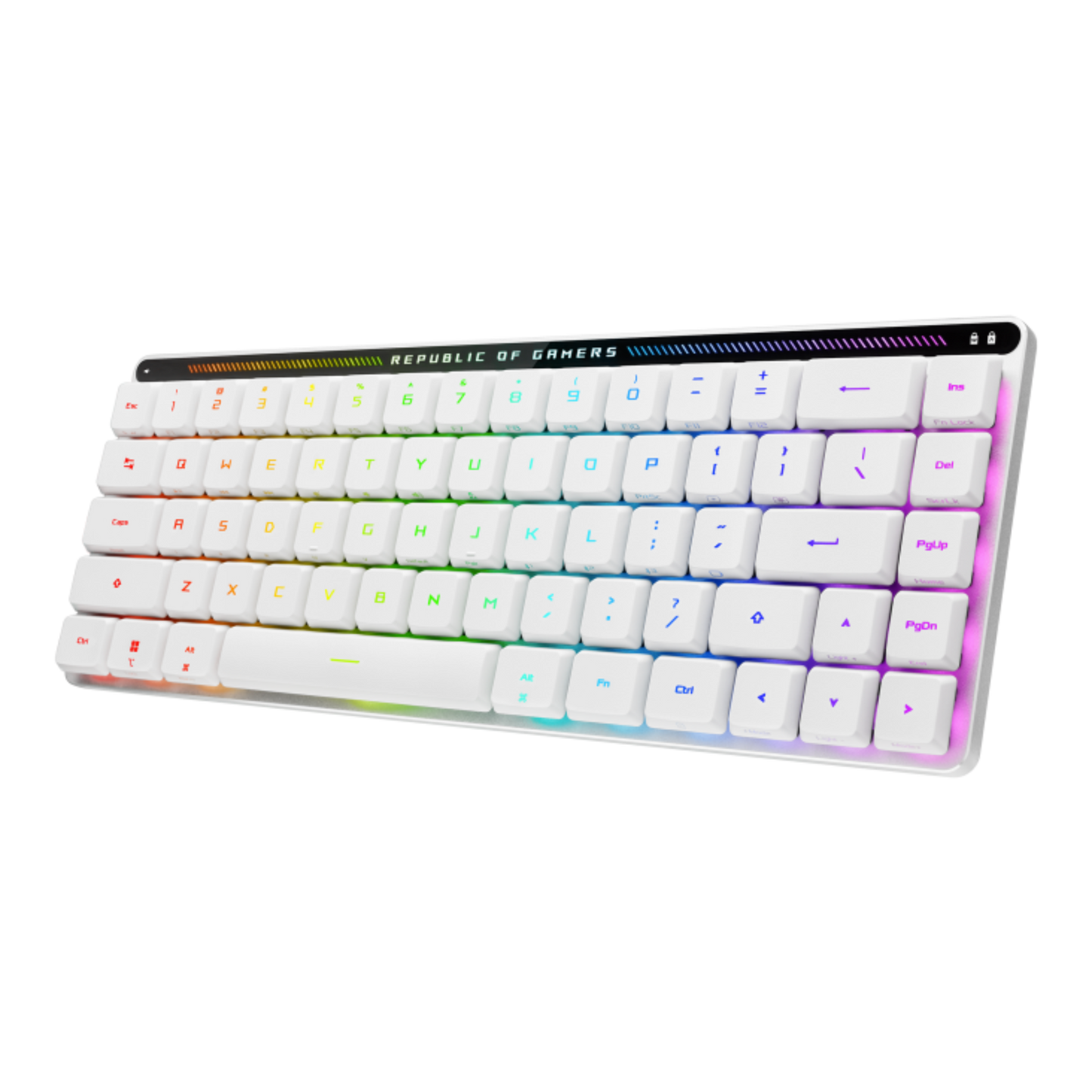 ASUS ROG FALCHION RX LOW PROFILE 65% COMPACT RGB MECHANICAL GAMING KEYBOARD