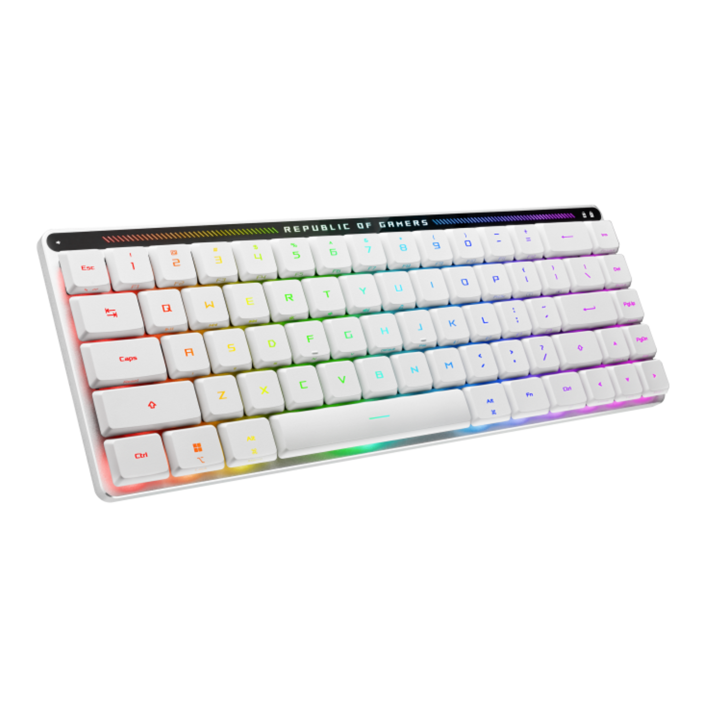 ASUS ROG FALCHION RX LOW PROFILE 65% COMPACT RGB MECHANICAL GAMING KEYBOARD