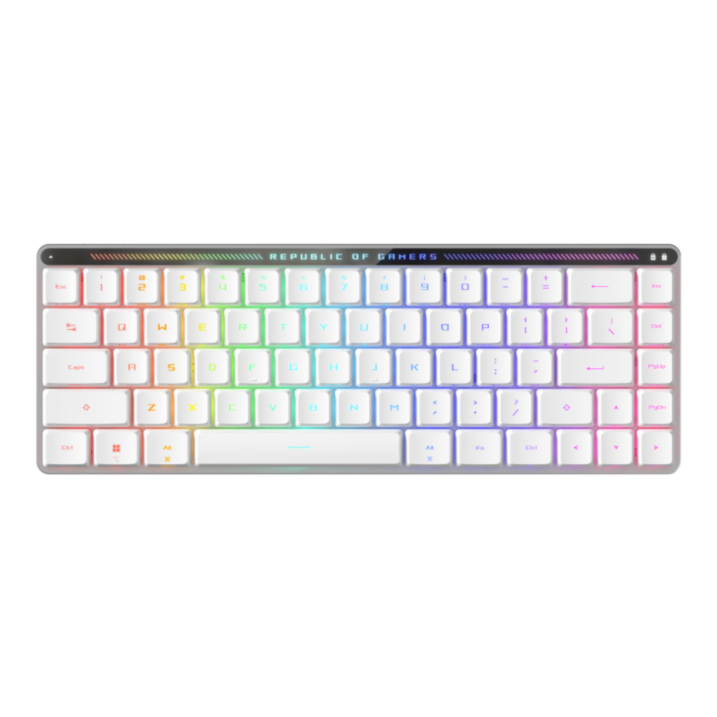 ASUS ROG FALCHION RX LOW PROFILE 65% COMPACT RGB MECHANICAL GAMING KEYBOARD