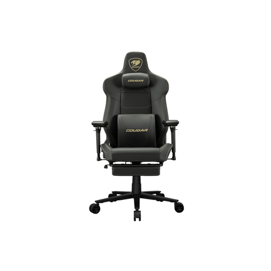 COUGAR ARMOR EVO M GAMING CHAIR W/ HEADREST & LUMBAR CUSHION, 5D-ARMREST (BLACK/GOLD)