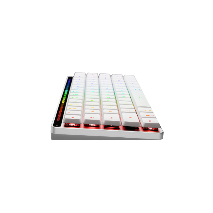 ASUS ROG FALCHION RX LOW PROFILE 65% COMPACT RGB MECHANICAL GAMING KEYBOARD