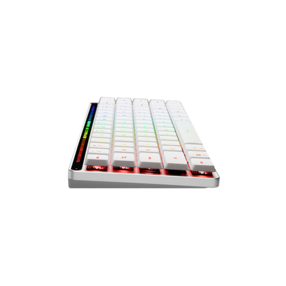 ASUS ROG FALCHION RX LOW PROFILE 65% COMPACT RGB MECHANICAL GAMING KEYBOARD