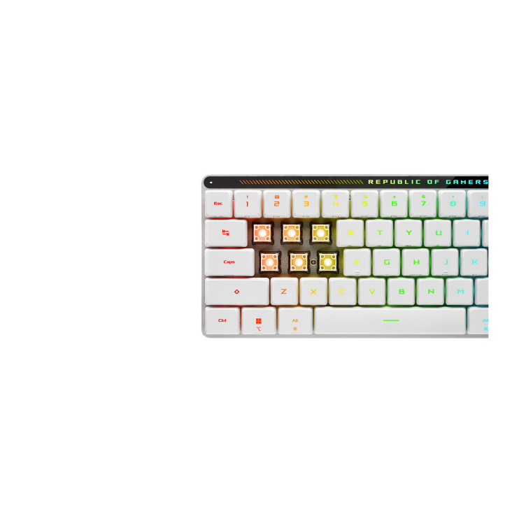 ASUS ROG FALCHION RX LOW PROFILE 65% COMPACT RGB MECHANICAL GAMING KEYBOARD